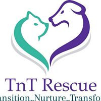 TnT Small Animal Rescue
